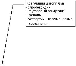 ������� 3: ���������� ����������:
- ������������
- ���������� ��������*
- ������
- ������������ ���������� 
 ����������
