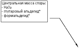 ������� 3: ����������� ����� �����:
- H2O2
- ���������� ��������*
- ������������*
